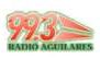 Radio Aguilares