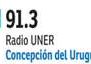 Radio UNER 91.3