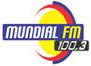 Mundial FM 100.3