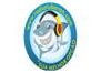 Radio Tubarao