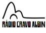 Rádio Cravo Albin