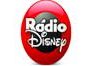 Rádio Disney FM 91.3 SP