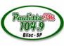 Rádio Paulista 104.9
