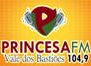 Rádio Princesa FM 104.9