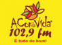 A Cor da Vida