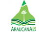 Radio Araucana 95.9