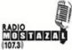 Radio Mostazal 107.3