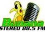 Banana 88.5
