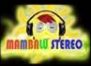 Mambalu estereo