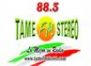 Tame 88.3