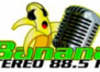 Banana Stereo