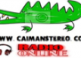 CAIMÁN STEREO