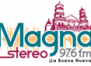 Magna Stereo