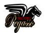 Radio Sonido Pegasso