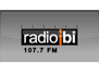 Radio Ibi